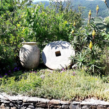 L'Antico Frantoio Villa Rapallo Dış mekan fotoğraf