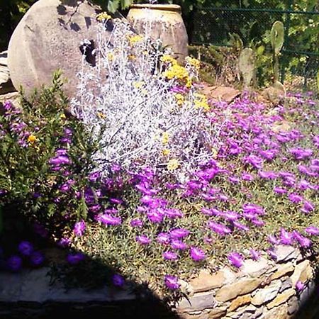 L'Antico Frantoio Villa Rapallo Dış mekan fotoğraf