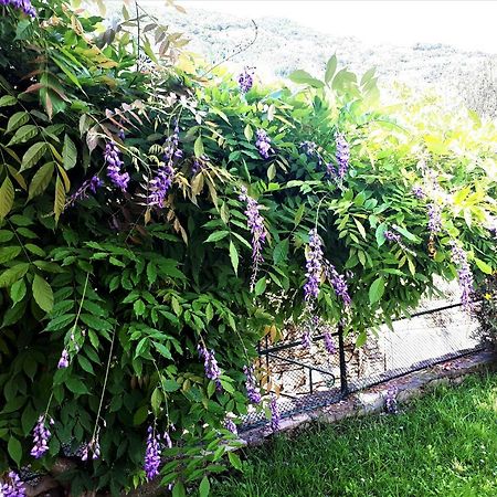 L'Antico Frantoio Villa Rapallo Dış mekan fotoğraf