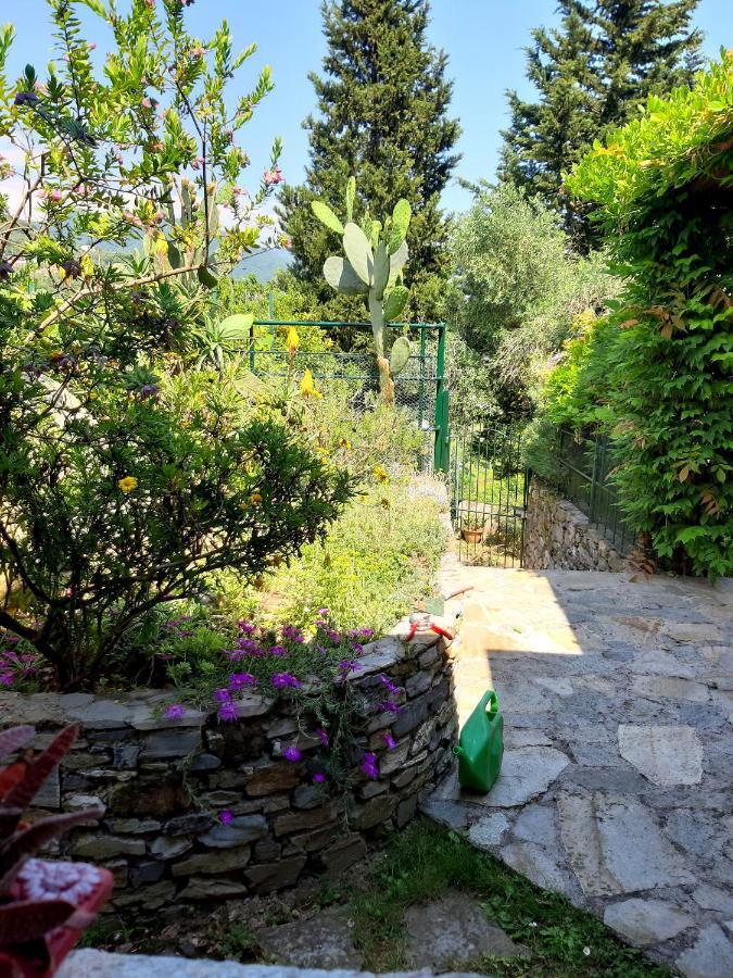 L'Antico Frantoio Villa Rapallo Dış mekan fotoğraf