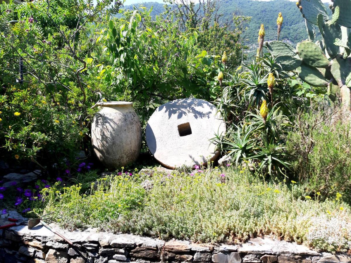 L'Antico Frantoio Villa Rapallo Dış mekan fotoğraf