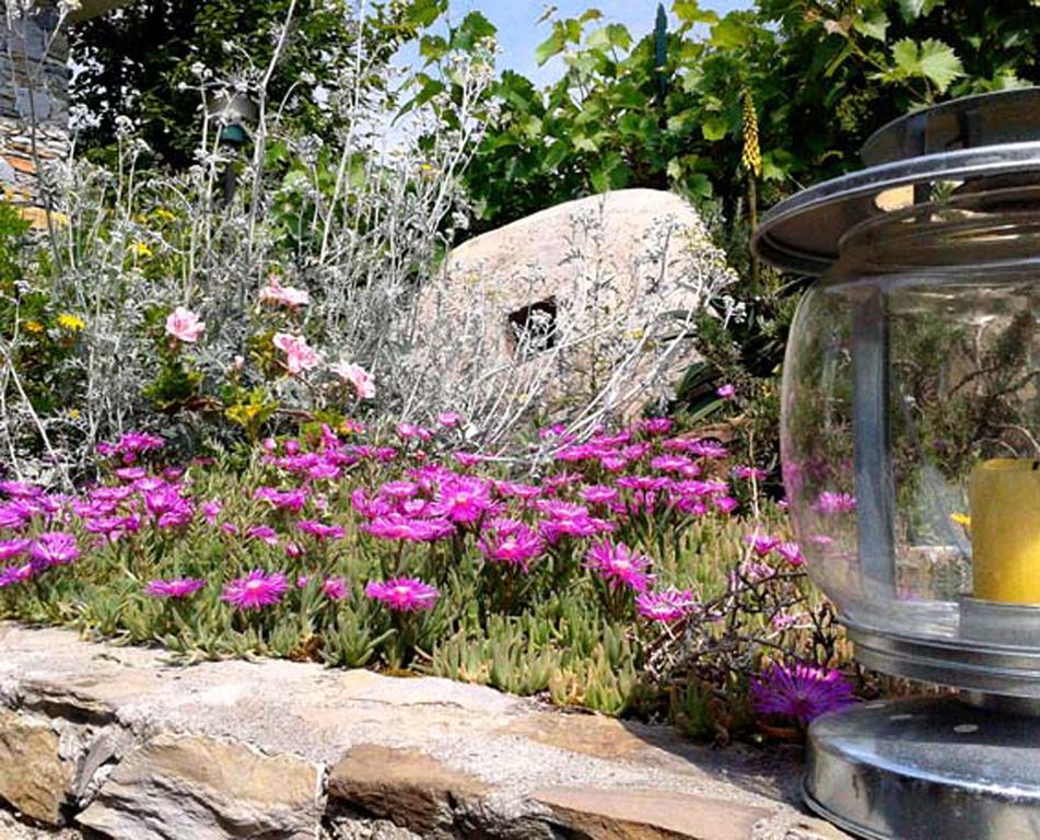 L'Antico Frantoio Villa Rapallo Dış mekan fotoğraf