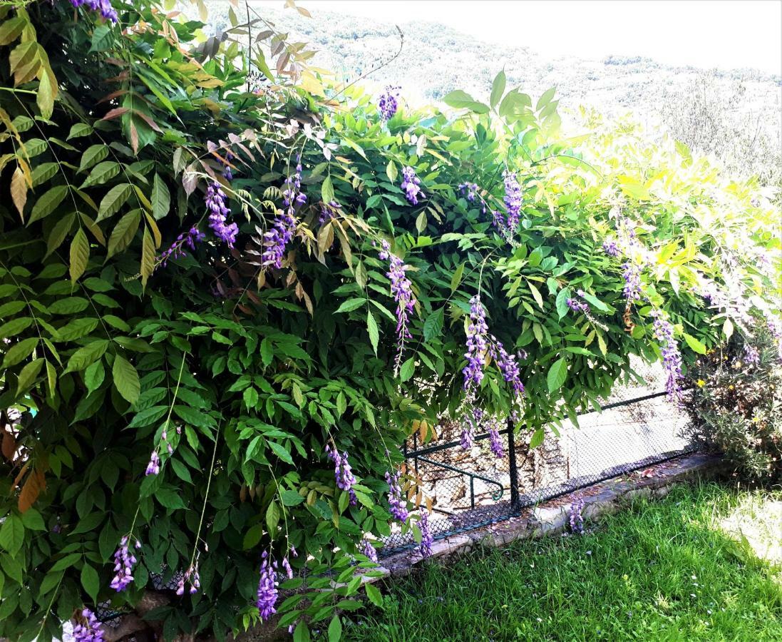 L'Antico Frantoio Villa Rapallo Dış mekan fotoğraf