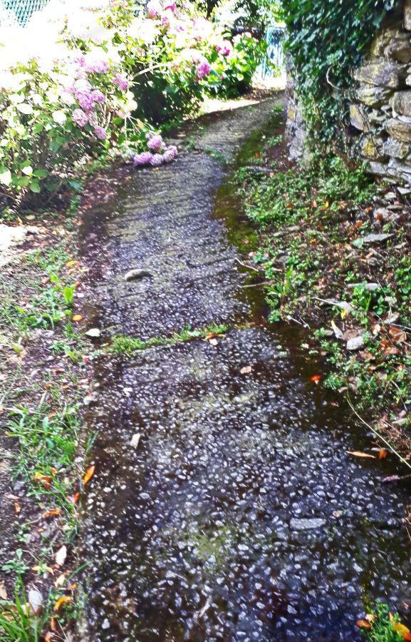 L'Antico Frantoio Villa Rapallo Dış mekan fotoğraf